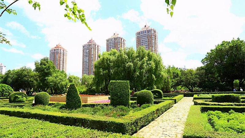 植物墙，城市绿化的新宠儿：代理加盟品牌解析