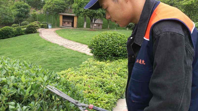 园林公司案例越多越好吗