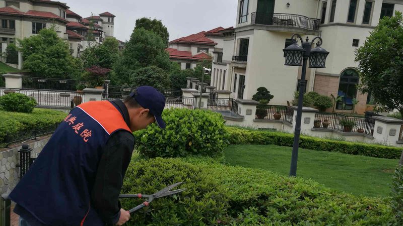 草坪铺设材料：揭秘十大品牌背后的秘密