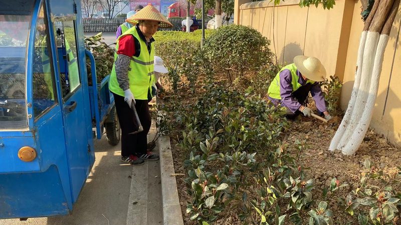 屋顶绿化价格一平方：揭秘成本构成与影响因素
