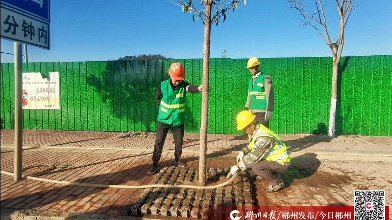 绿化资质续期，这些政策规定你必须知道**