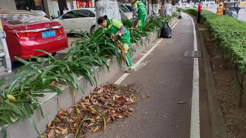 厂区绿化方案设计费用，你真的了解吗？**