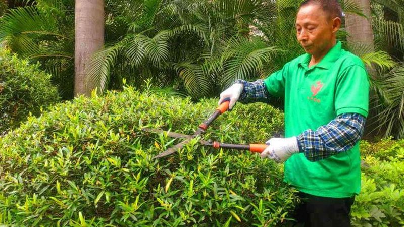 别墅花园廊架，如何打造与自然和谐共生的空间**